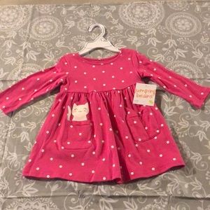 NWT baby girls long sleeve dress